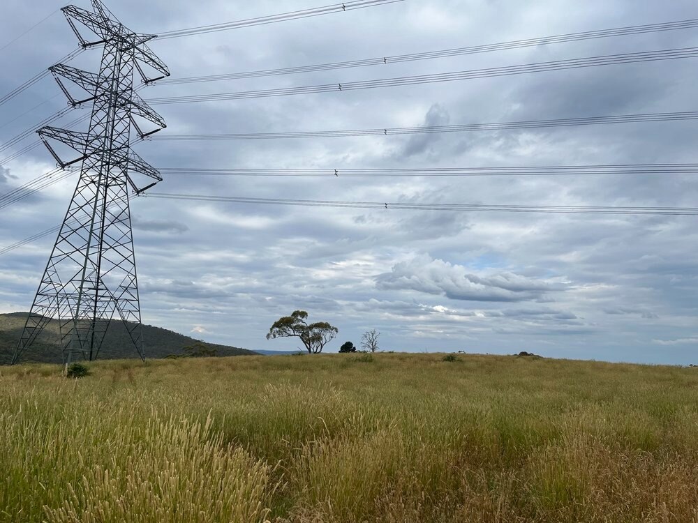 A hay field with power lines on left