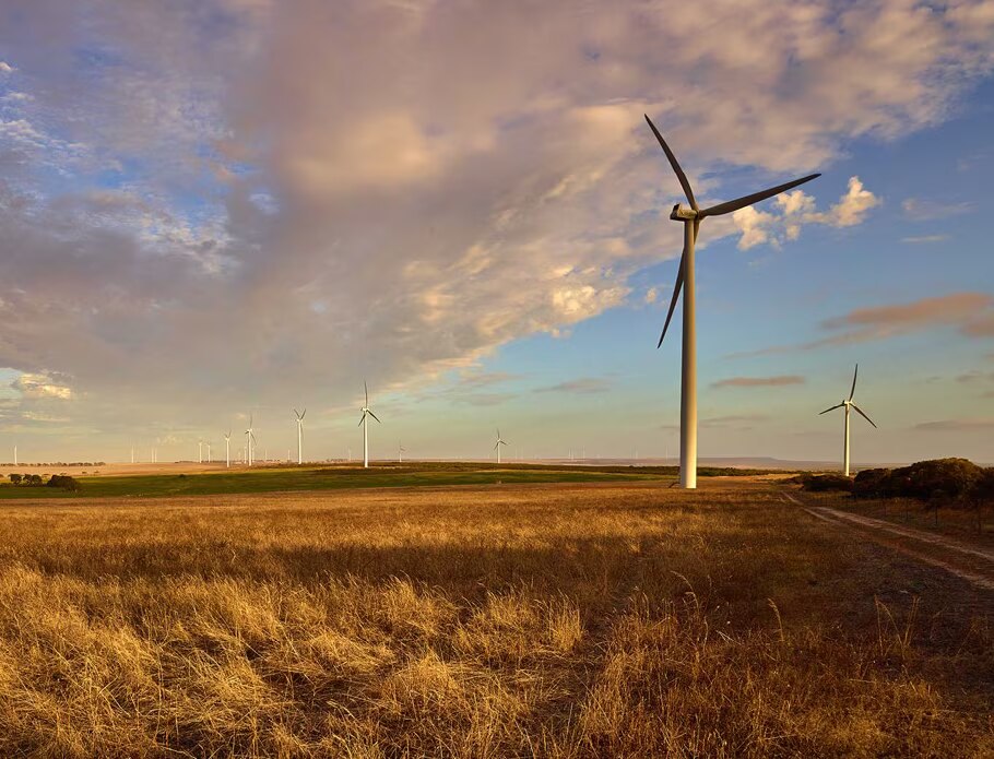 Windfarm